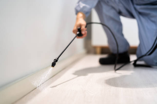 Licensed Rodent Control service in Tsaile, AZ - Nex Pest Control