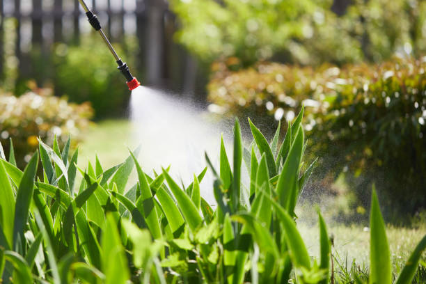 24/7 Emergency Rodent Control experts in Tsaile, AZ