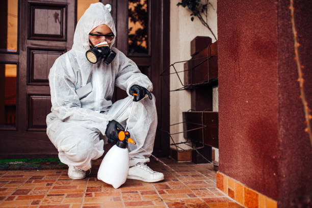 Reliable Rodent Control contractor in Tsaile, AZ by Nex Pest Control