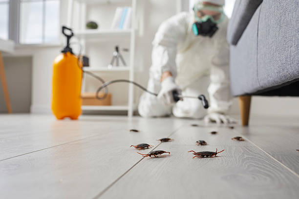 Trusted Fumigation Services service in Tsaile, AZ - Nex Pest Control