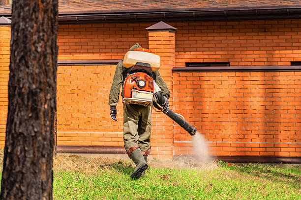 Trusted Termite Control service in Tsaile, AZ - Nex Pest Control
